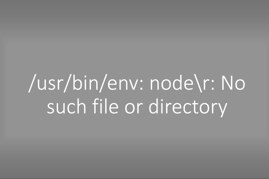 /usr/bin/env: node\r: No such file or directory